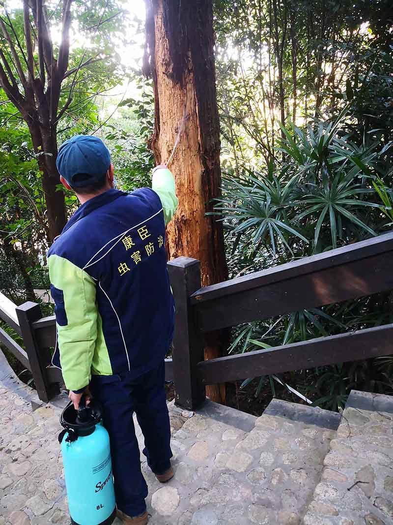 古树保护