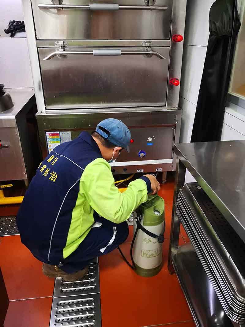 学校食堂灭蟑螂