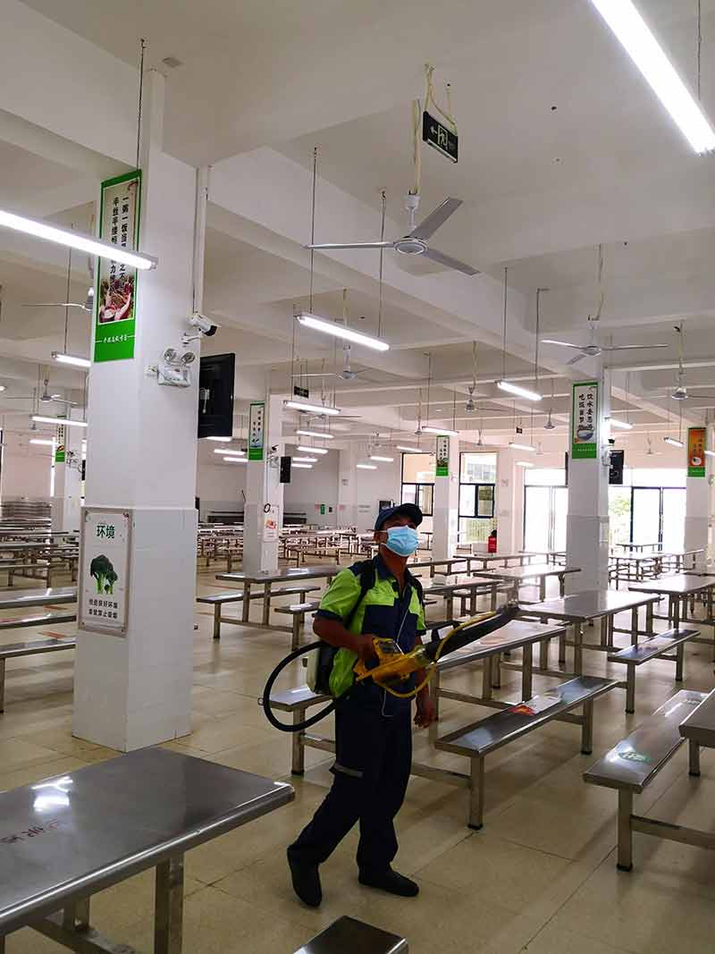 学校食堂灭老鼠、蟑螂、蚊蝇