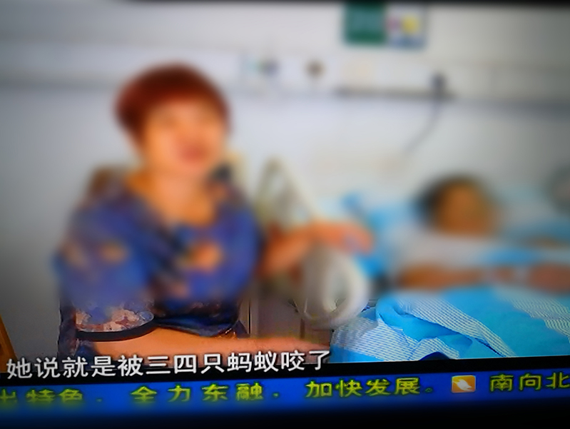 红火蚁咬致人休克危及生命