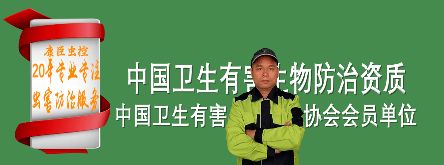 幻灯3