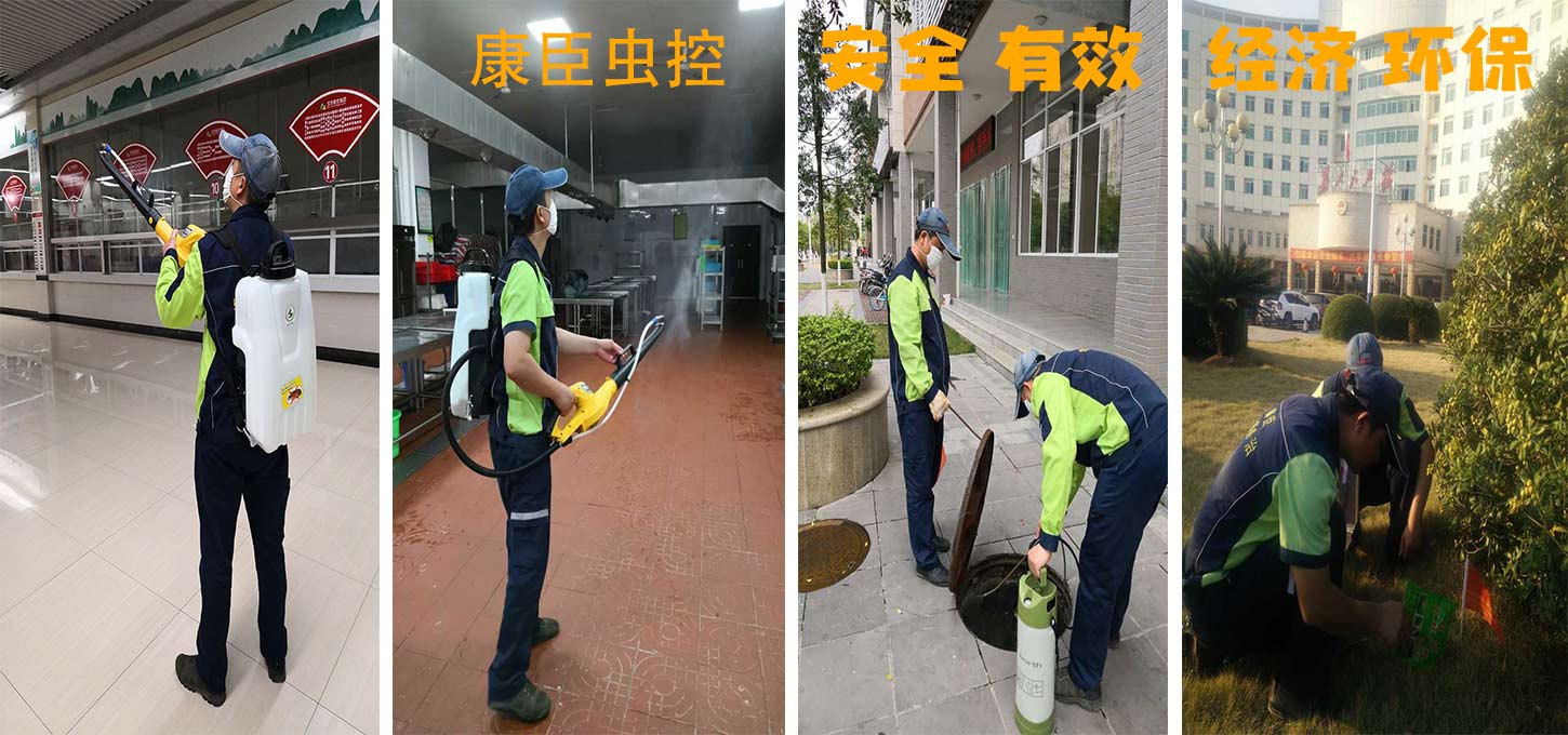 幻灯1