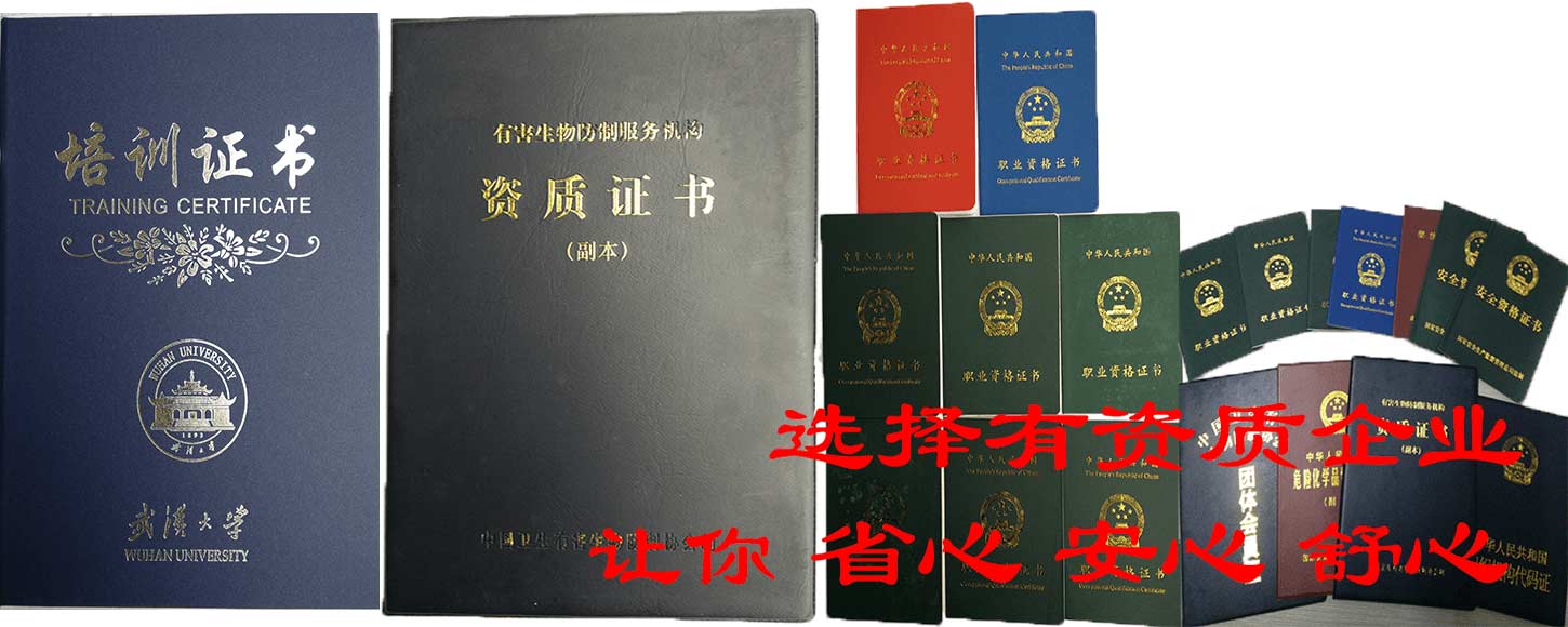 幻灯1